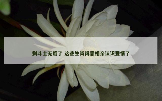 剩斗士无疑了 这些生肖得靠相亲认识爱情了