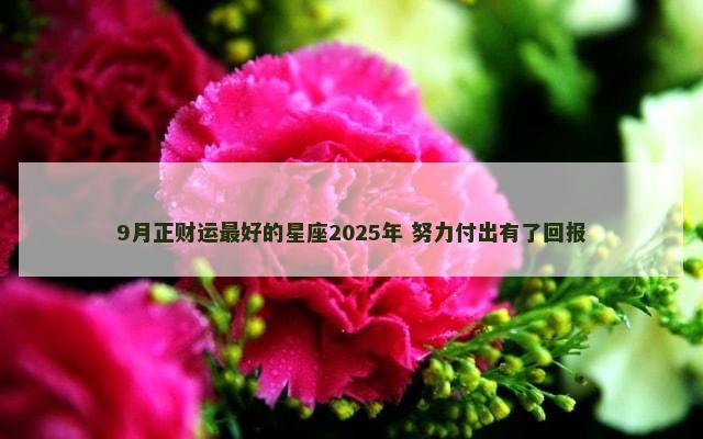 9月正财运最好的星座2025年 努力付出有了回报
