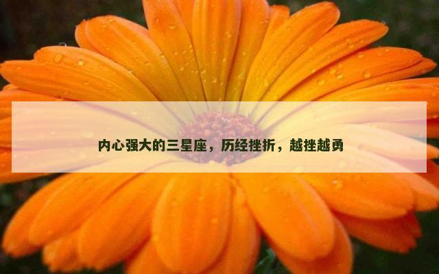内心强大的三星座，历经挫折，越挫越勇