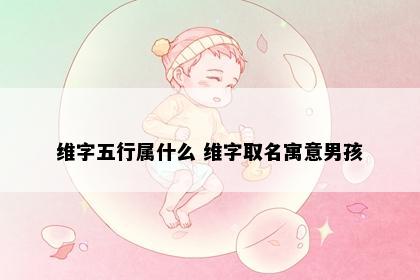 维字五行属什么 维字取名寓意男孩