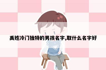 禹姓冷门独特的男孩名字,取什么名字好