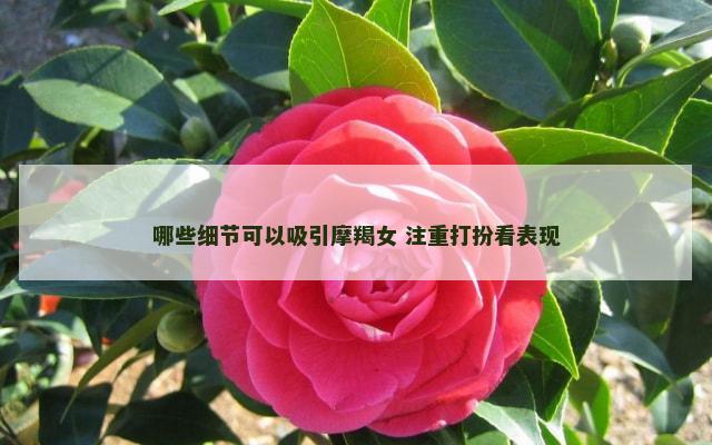 哪些细节可以吸引摩羯女 注重打扮看表现