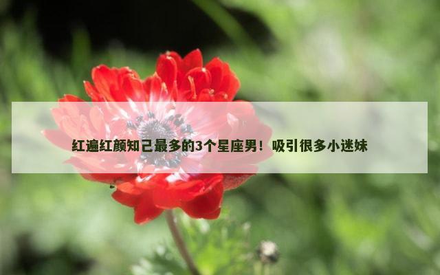 红遍红颜知己最多的3个星座男！吸引很多小迷妹