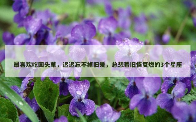 最喜欢吃回头草，迟迟忘不掉旧爱，总想着旧情复燃的3个星座