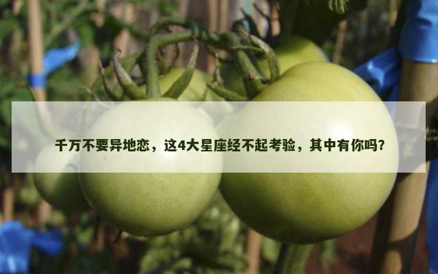 千万不要异地恋，这4大星座经不起考验，其中有你吗？