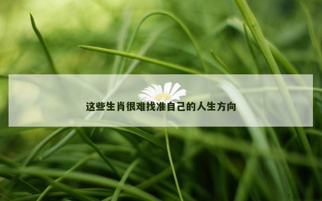 这些生肖很难找准自己的人生方向