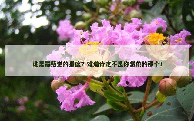 谁是最叛逆的星座？难道肯定不是你想象的那个！