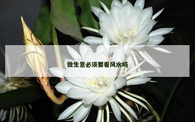 做生意必须要看风水吗