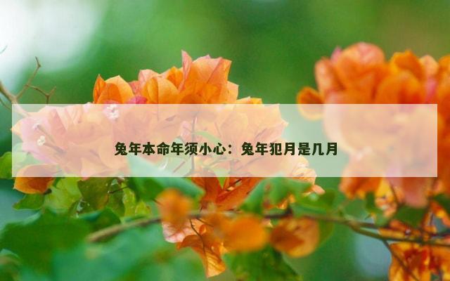 兔年本命年须小心：兔年犯月是几月