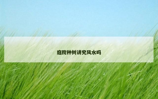 庭院种树讲究风水吗