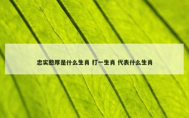 忠实憨厚是什么生肖 打一生肖 代表什么生肖