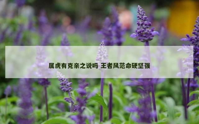 属虎有克亲之说吗 王者风范命硬坚强