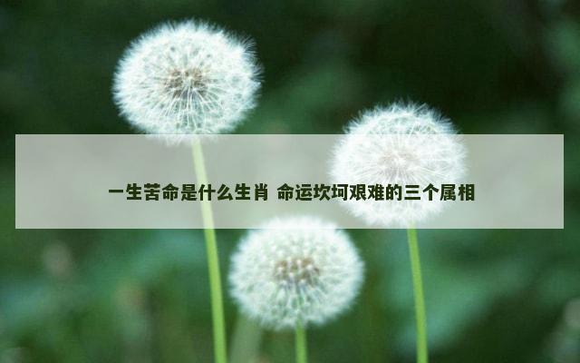 一生苦命是什么生肖 命运坎坷艰难的三个属相