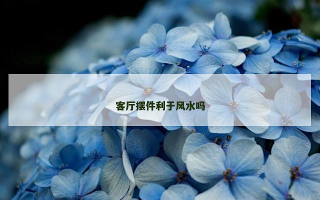 客厅摆件利于风水吗