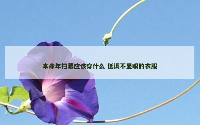本命年扫墓应该穿什么 低调不显眼的衣服