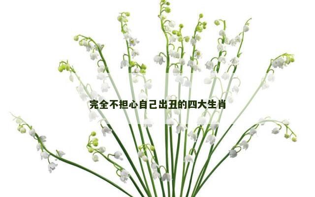 完全不担心自己出丑的四大生肖