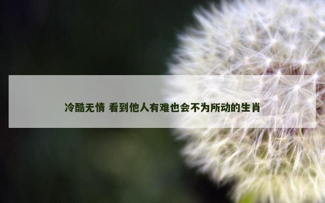 冷酷无情 看到他人有难也会不为所动的生肖