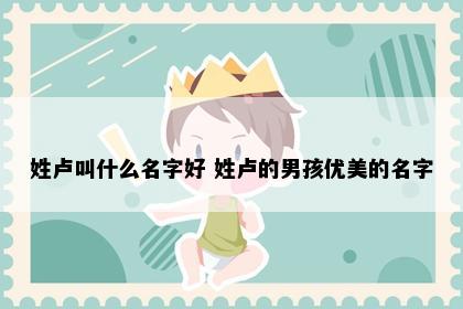 姓卢叫什么名字好 姓卢的男孩优美的名字