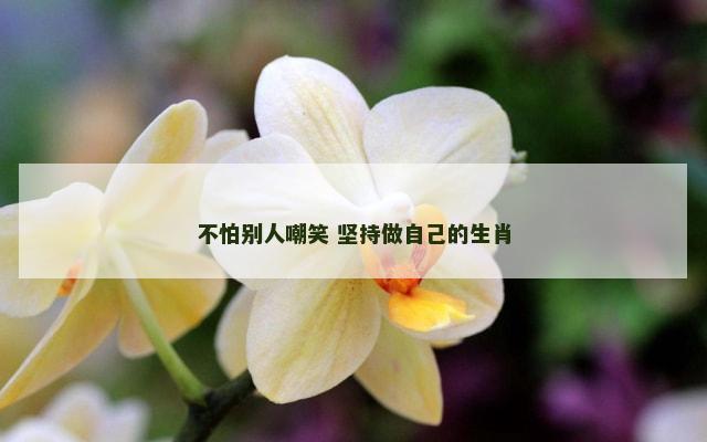 不怕别人嘲笑 坚持做自己的生肖