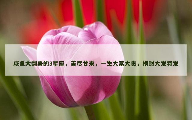 咸鱼大翻身的3星座，苦尽甘来，一生大富大贵，横财大发特发