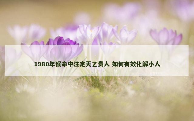1980年猴命中注定天乙贵人 如何有效化解小人