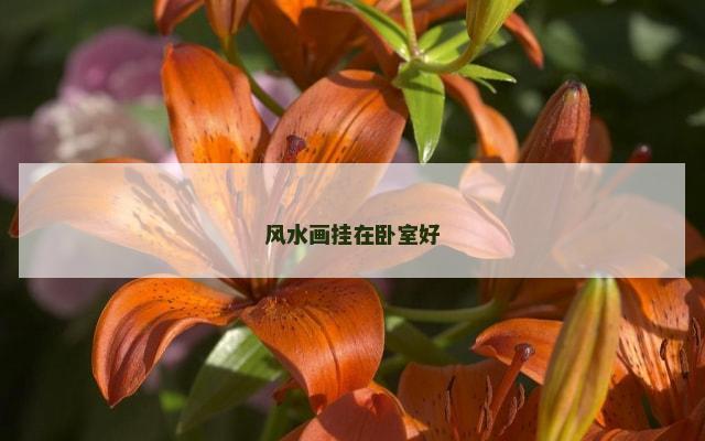 风水画挂在卧室好