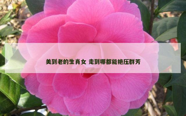 美到老的生肖女 走到哪都能艳压群芳