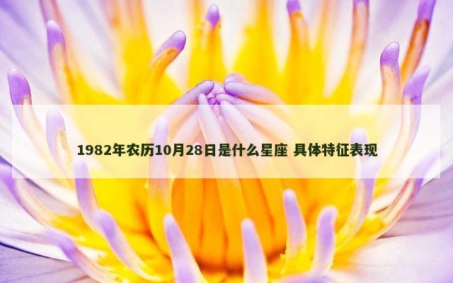 1982年农历10月28日是什么星座 具体特征表现
