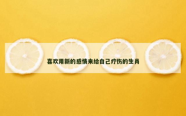 喜欢用新的感情来给自己疗伤的生肖