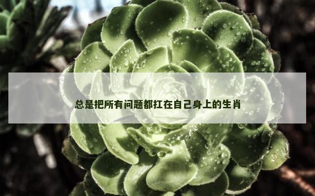 总是把所有问题都扛在自己身上的生肖