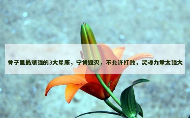 骨子里最顽强的3大星座，宁肯毁灭，不允许打败，灵魂力量太强大