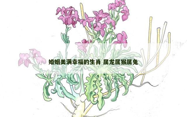 婚姻美满幸福的生肖 属龙属猴属兔