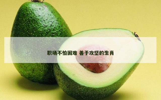 职场不怕困难 善于攻坚的生肖
