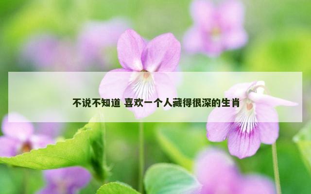 不说不知道 喜欢一个人藏得很深的生肖