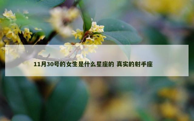 11月30号的女生是什么星座的 真实的射手座 　　