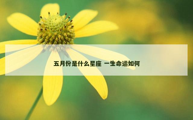 五月份是什么星座 一生命运如何