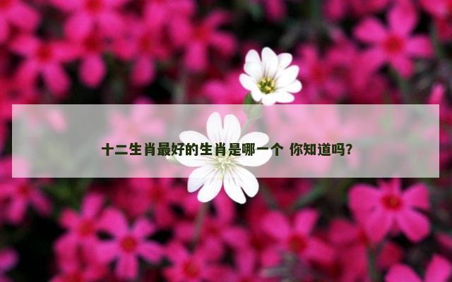 十二生肖最好的生肖是哪一个 你知道吗？