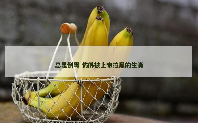 总是倒霉 仿佛被上帝拉黑的生肖