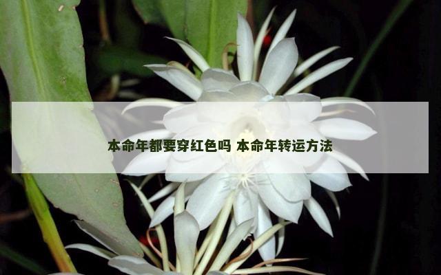 本命年都要穿红色吗 本命年转运方法