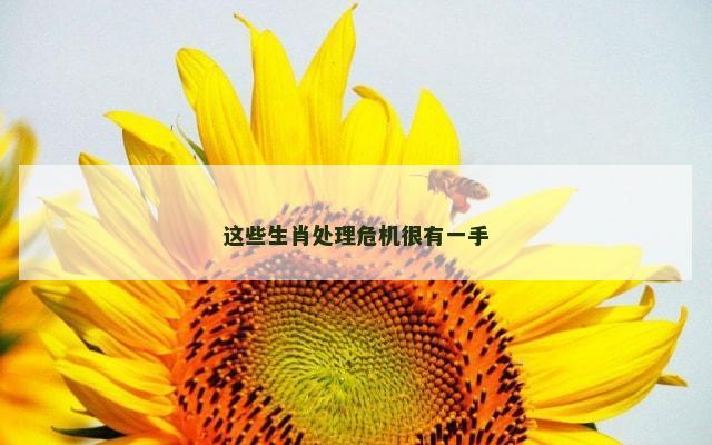 这些生肖处理危机很有一手