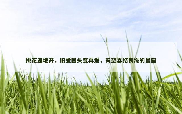 桃花遍地开，旧爱回头变真爱，有望喜结良缘的星座