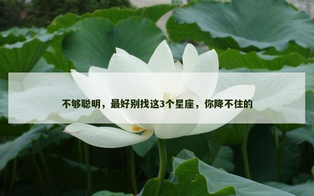 不够聪明，最好别找这3个星座，你降不住的