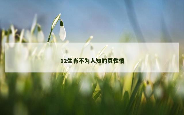 12生肖不为人知的真性情