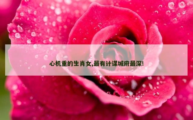 心机重的生肖女,最有计谋城府最深!