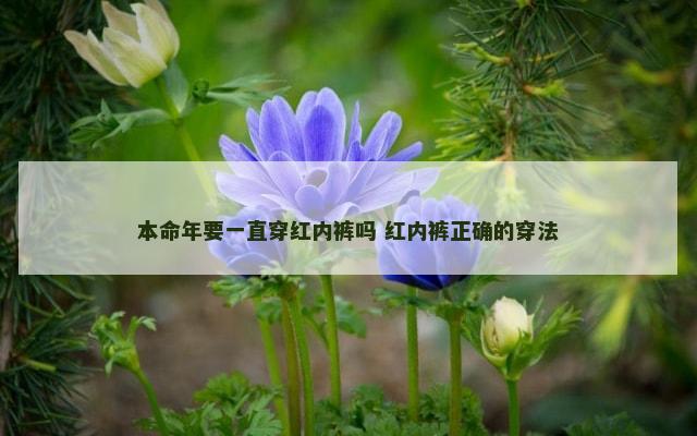 本命年要一直穿红内裤吗 红内裤正确的穿法
