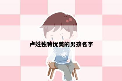 卢姓独特优美的男孩名字
