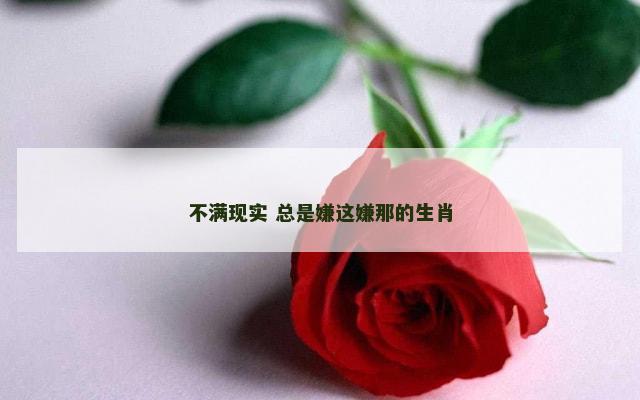 不满现实 总是嫌这嫌那的生肖