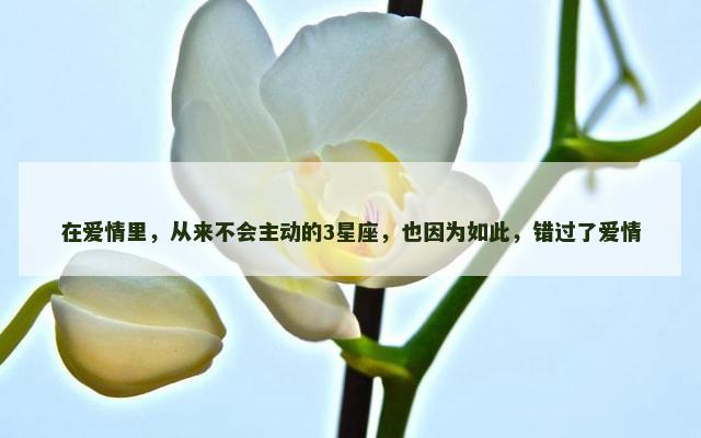 在爱情里，从来不会主动的3星座，也因为如此，错过了爱情