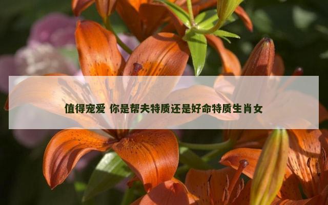 值得宠爱 你是帮夫特质还是好命特质生肖女