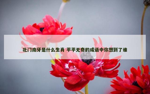 北门南牙是什么生肖 平平无奇的成语中你想到了谁